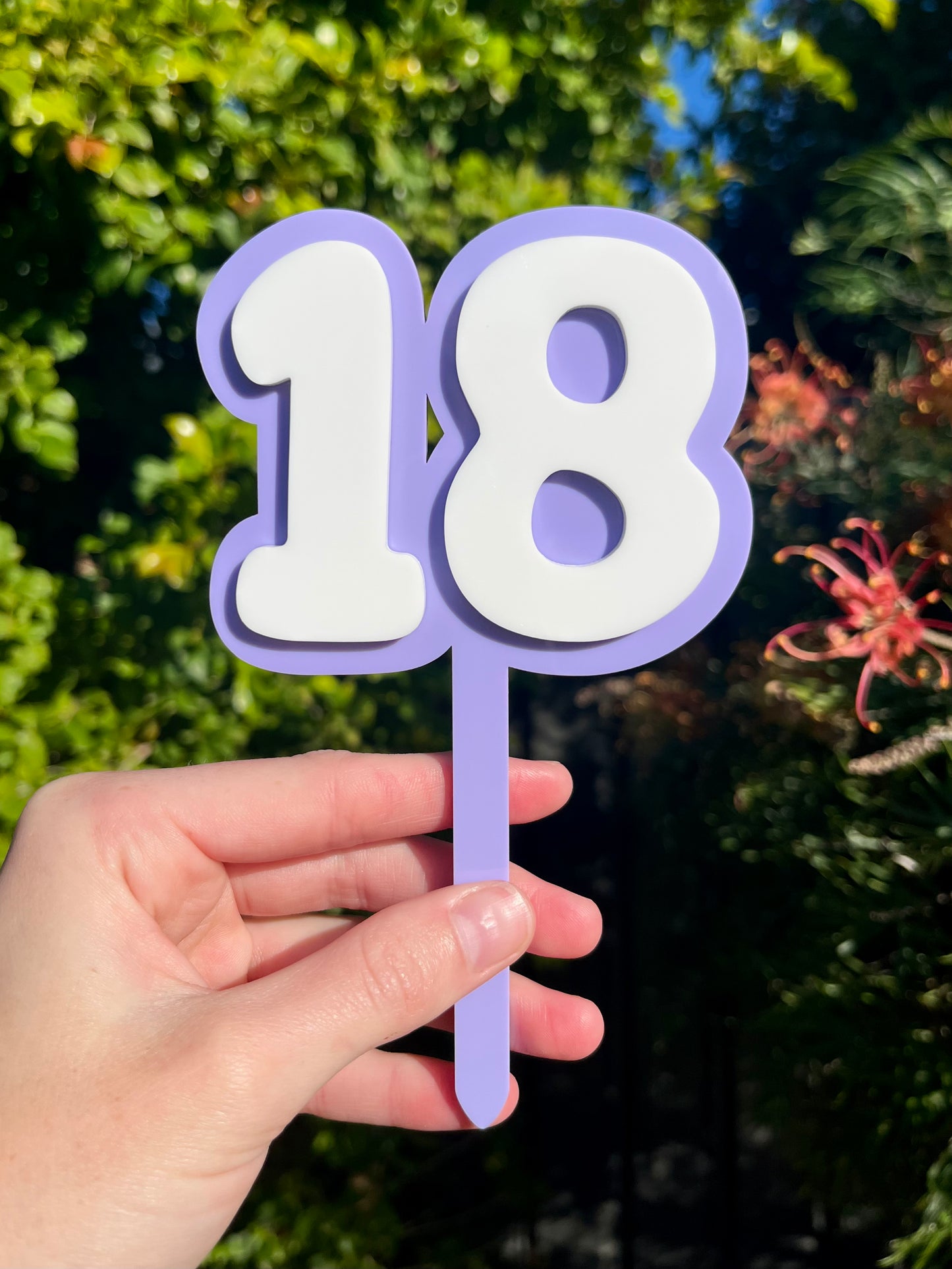 Acrylic Number Cake Topper
