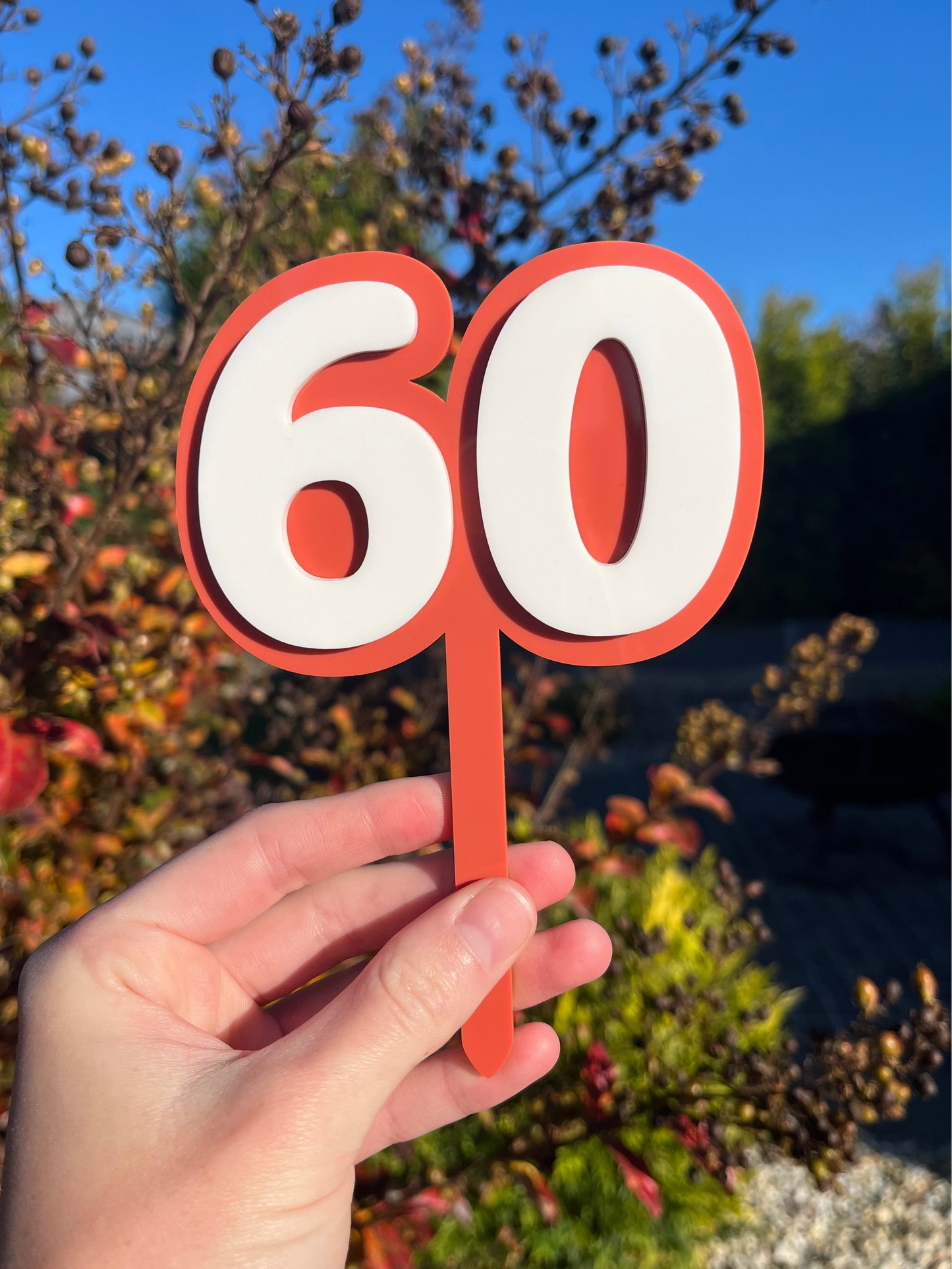 Acrylic Number Cake Topper