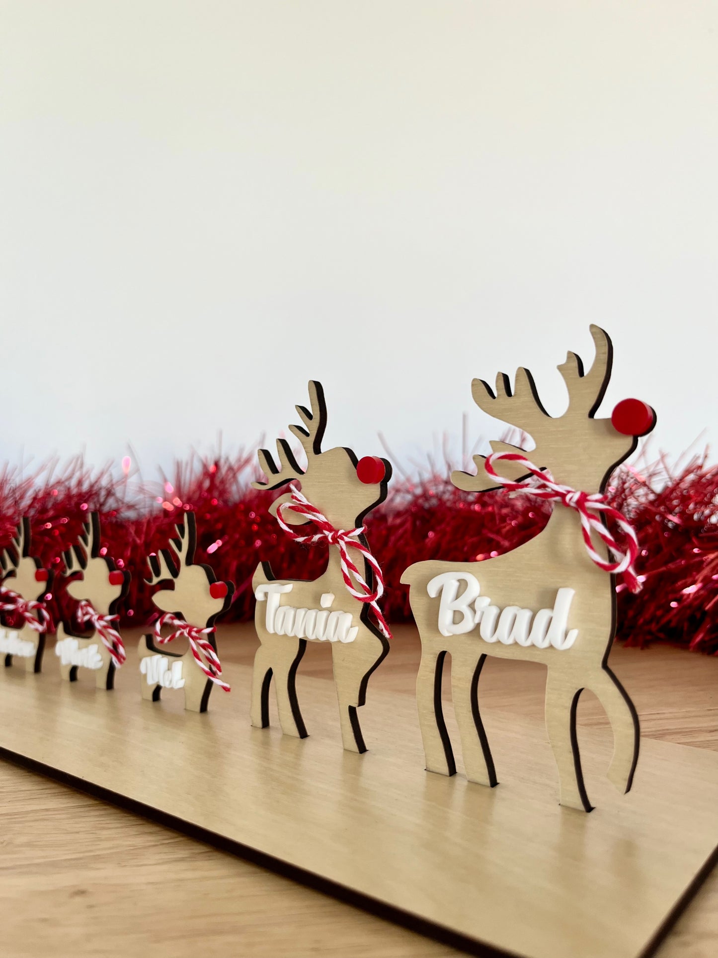 Personalised Reindeer Family Display