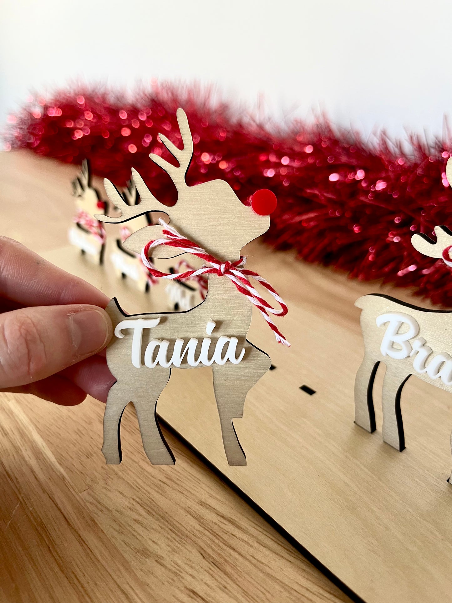 Personalised Reindeer Family Display